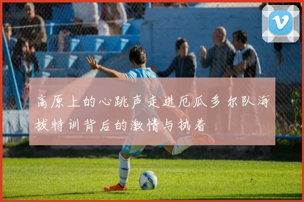 高原上的心跳声走进厄瓜多尔队海拔特训背后的激情与执着