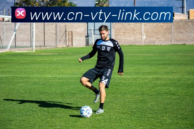 v站体育平台生态图